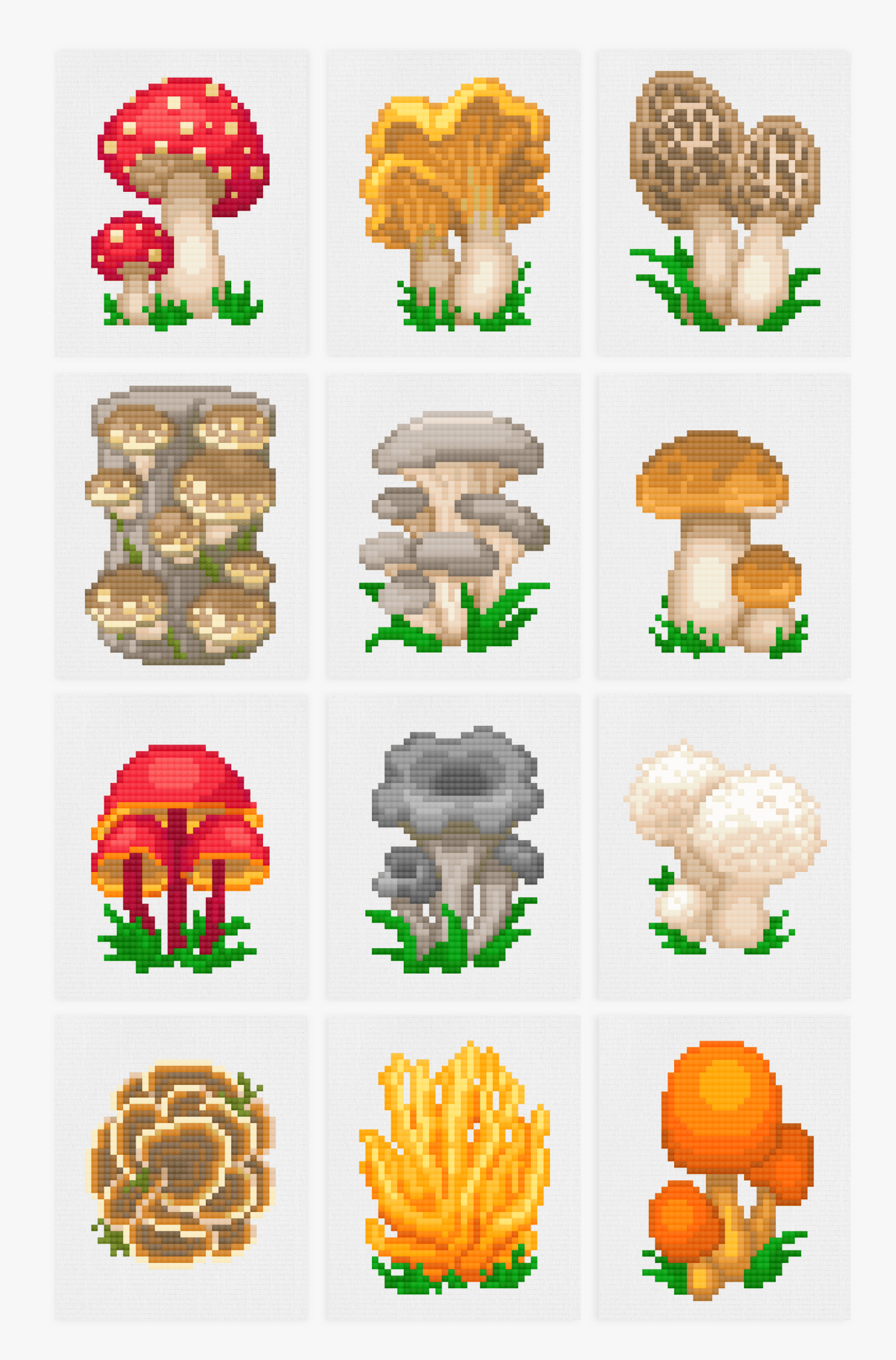 Mushroom Set